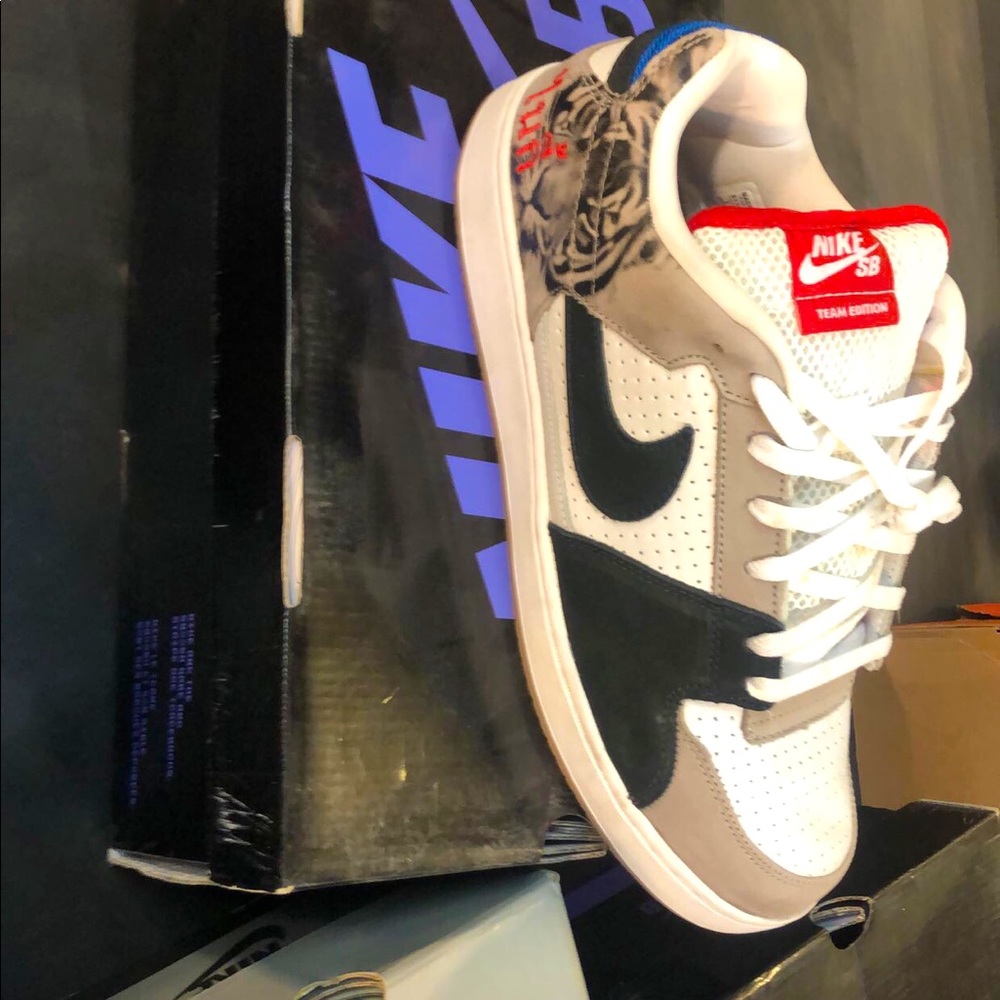 Nike Sb zoom team edition